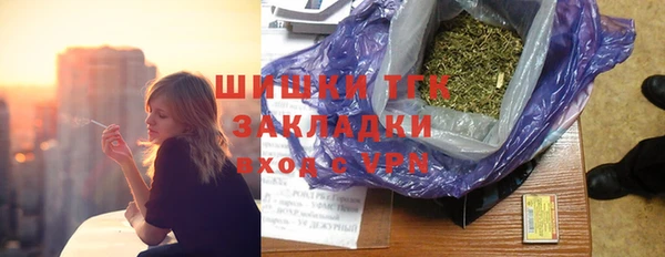 spice Михайлов