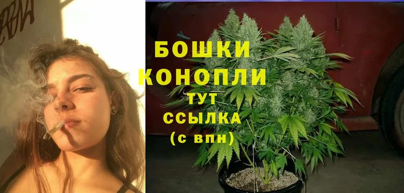 Канабис Ganja  Новосиль 